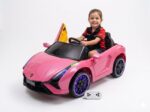 Auto RC Lamborghini -Rosa